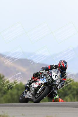 media/Apr-05-2024-Apex Assassins-CVMA Friday Practice (Fri) [[ee2ef04f2b]]/3-Racer 2/Session 4 (Turn 9 Entry)/